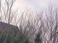 -南翠屏公园