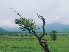 -石棉县孟获城