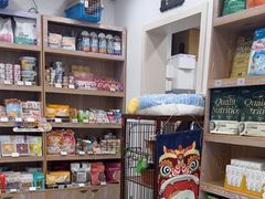 -四月宠物医院·猫专科·心脏专科·内科(转塘店)