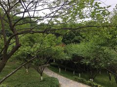 -重庆彩云湖湿地公园