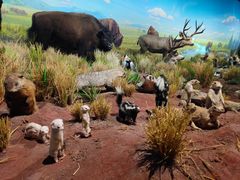 -陕西自然博物馆