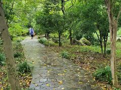 -南京老山国家森林公园