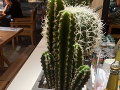 -蜜桃餐厅·伴山(湖滨商业街店)