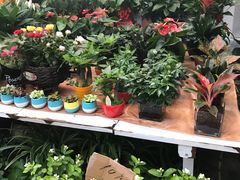 -秦美花卉(天朗·莱茵小城2期店)