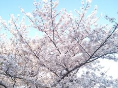 -苏州上方山国家森林公园