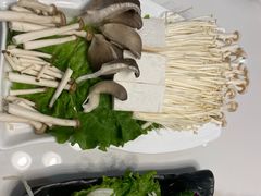 -印象高密·凤都国际大酒店