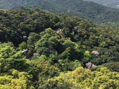 -梧桐山风景名胜区
