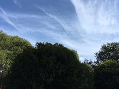 -金孔雀温泉旅游度假村