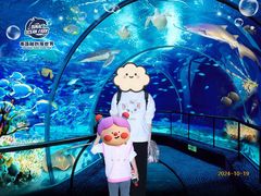-南昌融创海世界