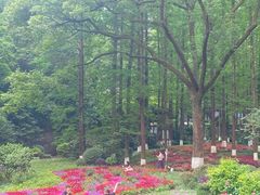 -忠山公园