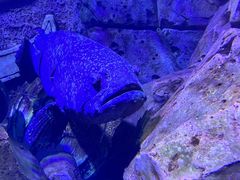 -波塞冬旅游度假区