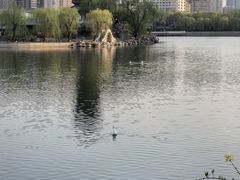 -迎泽公园