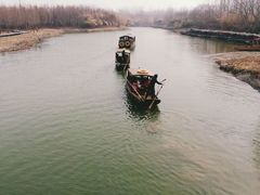 android_upload_pic-溱湖国家湿地公园