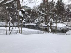 -北海道厅旧本厅舍(旧本庁舎)