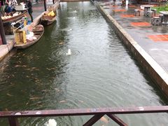 -水都餐厅