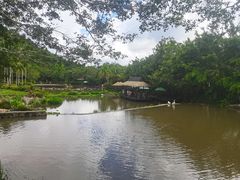 -呀诺达热带雨林