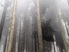-太阳湾风景区
