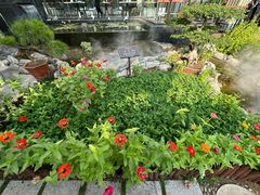 -蘇河湾·新鲁菜·泰山宴(泰山店)