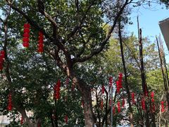 -荔湾湖公园