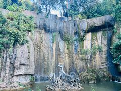 -西双版纳原始森林公园