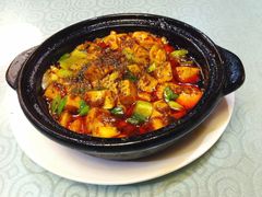 金牌麻辣豆腐-陈麻婆豆腐总店