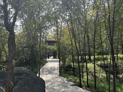 -封龙山风景区