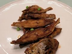 -新吉士·上海菜(浦东LCM置汇旭辉店)