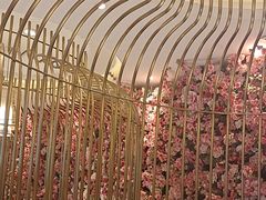 -小桃红·东北菜·春饼烤鸭(南阳湖街店)