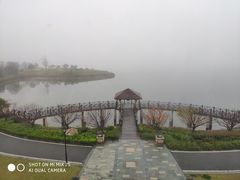 -余姚四明湖开元名都度假酒店·夏威夷西餐厅