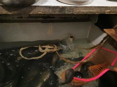 -余家庄肥肠鱼地方汤锅(银杏大道店)