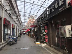-中环花鸟鱼虫市场