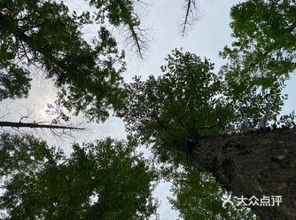 巴溪洲，听说过这个名字很久了