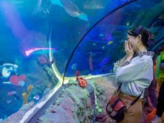 -沈阳海洋探索中心