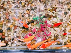 -金太阳海鲜烧烤·本地人餐厅(东纬路旗舰店)