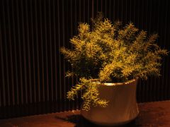 -泉客厅LAPUTA·天空之城