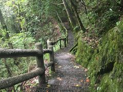 -神农架香溪源景区