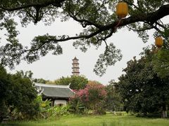 -江心屿景区