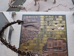 -衢州市博物馆
