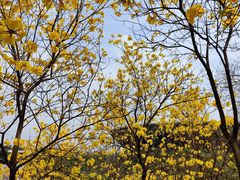 -中国移动南方基地