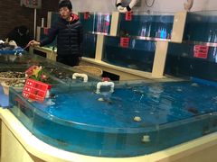 -普天和酒楼·新津菜·烤鸭(天津之眼店)