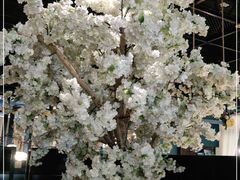 -茉莉餐厅(亳州高新万达广场希夷大道店)