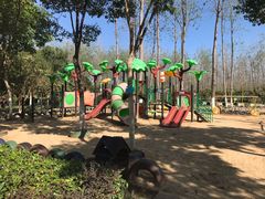 -合肥滨湖国家森林公园