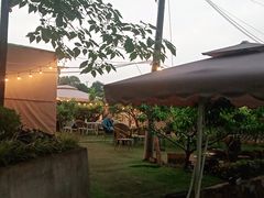 -玫瑰庄园·自助烧烤·烤全羊·团建拓展(龙泉山店)