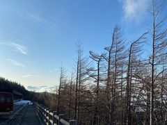 -富士山吉田線五合目