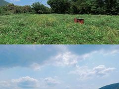 -风云岭森林公园