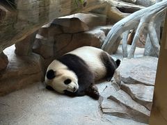 -宁波野生动物园
