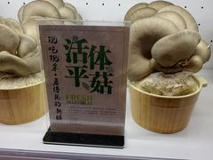 -大匠工房古船木艺术餐厅·猪肚鸡专门店(长白仙岛店)