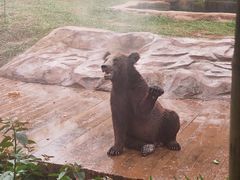-海南热带野生动植物园