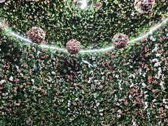 -蓬莱欧乐堡梦幻世界