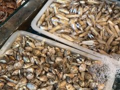 -和源祥·日照菜扛把子(万平口一店)